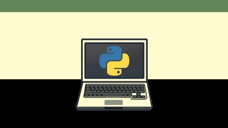 Learning Python: From Zero to Hero